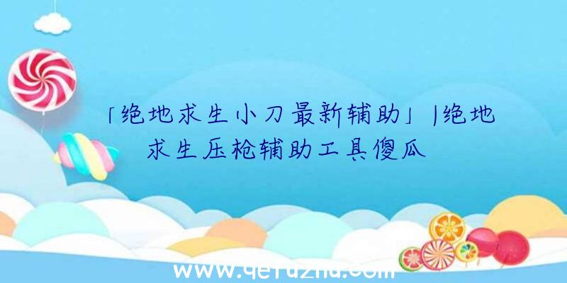 「绝地求生小刀最新辅助」|绝地求生压枪辅助工具傻瓜